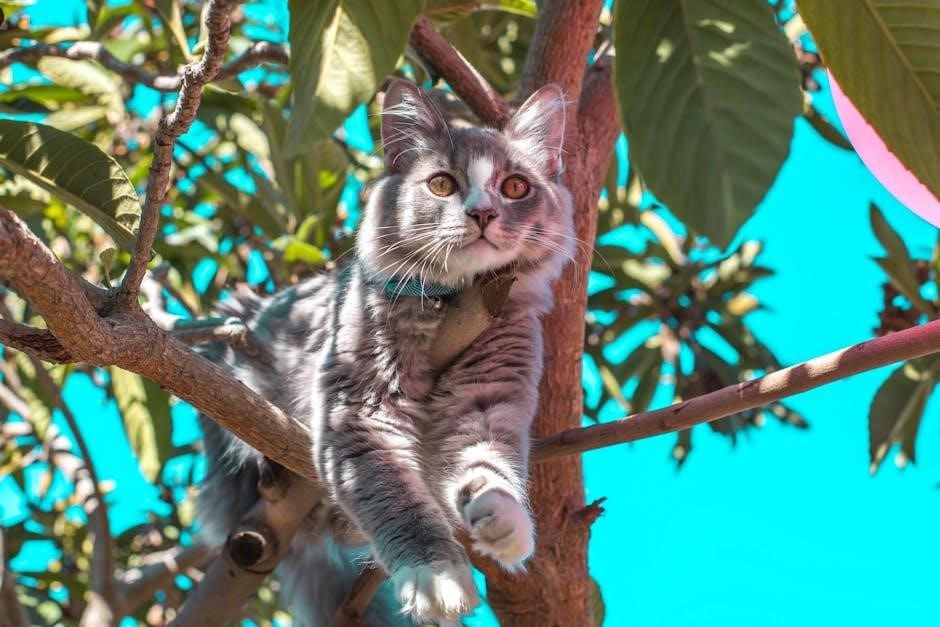 yaheetech cat tree assembly instructions pdf